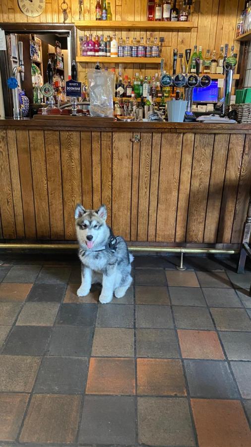 The Old Ship Inn Lowdham ภายนอก รูปภาพ
